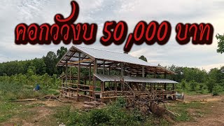 สร้างคอกวัวแบบบ้าน ๆ ด้วยงบไปเกิน 50,000 บาท