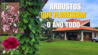 PEQUENOS ARBUSTOS que #florece o Ano Todo.