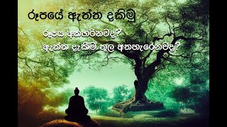 රූපයේ ඇ‌ත්ත දකිමු. රූපය අතහරිනවද? අතහැරෙනවද? | nirodaarana@gmail.com