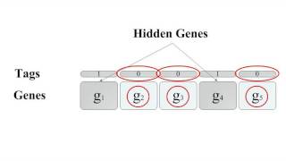 Systems Architecture Optimization Using Hidden Genes Genetic Algorithm