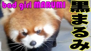 黒円実降臨 bad girl MARUMI