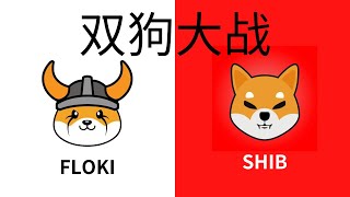 FLOKI 十倍币 山寨狗  买不买？  八百点  看别人赚钱比自己亏钱都难受！？【CC字幕.4K】