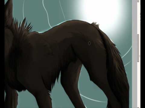 Speedpaint Wolf Youtube