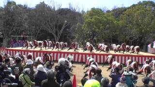 「早稲田大学踊り侍」　浜よさ　がんこ祭2016