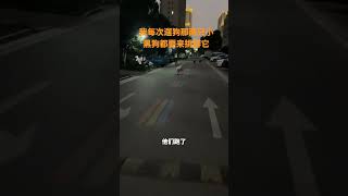 我每次遛狗那两只小黑狗都要来挑衅它#拉布拉多 #狗狗 #动物的迷惑行为 #萌宠出道计划 #邱大团