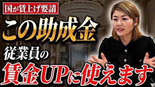 【経営者必見】日本政府が大幅な賃上げへの協力を要請！昇給が対象になる助成金を徹底解説します！