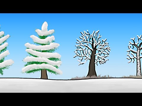 Does photosynthesis happen in winter?