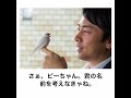 【は？】小泉進次郎の殿堂入りボケてがマジでツッコミどころ満載だったwww【1021弾】