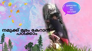 നമുക്ക് ഒന്ന് മരം കേറാൻ പഠിച്ചാലോ ..... common friends