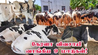 கேரளா செல்லும் தரமான மாடுகள் | Low cost HF breed