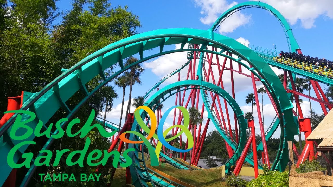 Bush Garden Tickets / Busch Gardens Tampa Florida Ticket 72 A Savings ...