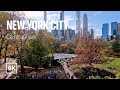 [4K] New York City 🗽 Autumn Walk - Central Park [Nov. 2022]