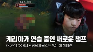 케리아가 연습 중인 새로운 챔프! 케리아 1-2월 롤 매드무비 [T1 Keria Montage]