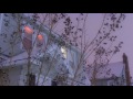 Barnacle Boi - interlude