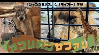 【2023年3月】大分アフリカンサファリ「ジャングルバス」当日券購入！「ジャングルバス」「マイカー」を両方体験しました！