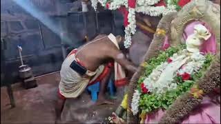 నిత్యహారతి 1/1/2025/#yerravaramtemple #yerravaram #vlog #narasimhaswamy