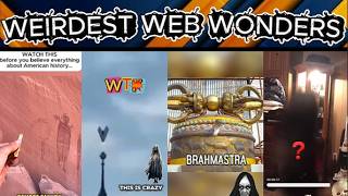 weirdest web wonders vol 178