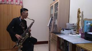 陪我看日出~蔡淳佳 次中音薩克斯風 Tenor saxophone cover