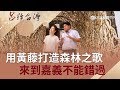 用黃藤搭上鐵軌打造森林之歌 !來到嘉義不能錯過的網美景點│張齡予 呂捷主持│【呂讀台灣】20190630│三立新聞台