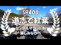 【sr400】道志みちで紅葉、最高に気持ち良いツーリングスポットです！、 ペイトンプレイスシングルサウンド、カスタム、モトブログ