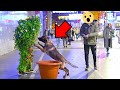 Dog Gets Scared and This Happens !!! Bushman Prank