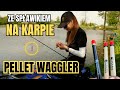 JAK ŁOWIĘ KARPIE NA SPŁAWIK? PELLET WAGGLER - SPŁAWIK BISON Z DYSKIEM - RYBY Z PODLASIA