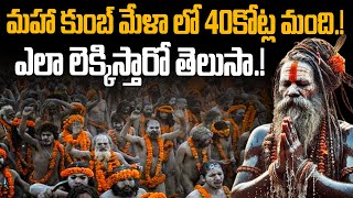 మహా కుంబ్ మేళా లో 40కోట్ల మంది.!ఎలా లెక్కిస్తారో తెలుసా! |కుంభమేళాకు పోటెత్తిన భక్తులు | Kumbh Mela