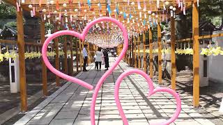 竹駒神社　夏詣（令和6年）　カフェ建設中