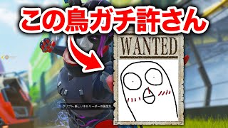 【APEX LEGENDS】この鳥だけはガチで許さん…【エーペックスレジェンズ】