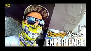 SPINNING BORRAS - sea bass fishing with spinning ψαρεμα λαβρακι με σπινινγκ στην βορεια Ελλαδα