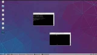 Embed sudo password on linux