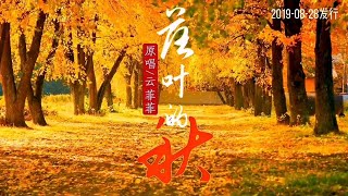 云菲菲原唱经典《落叶的秋》MV好歌推荐｜再也看不到你熟悉的双眸