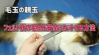 【長毛種】皮膚を切らずにフェルト状になった毛玉を安全にカットする方法【猫・犬】高級両目金櫛（株式会社岡野製作所）