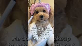 Me getting ready for work #noodlesthepooch #grwm #dogsofyoutube #funnyshorts