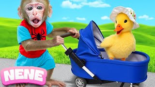 Monkey NeNe Pretend To Be A Good Brother And Then Takes Care Of A Duckling | NENE ANIMAL MONKEY