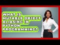 What Is Mutable Object Aliasing In Python Programming? - Python Code School