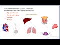 amyloidosis definition classification systems types of amyloidosis pathology u0026 clinical aspects