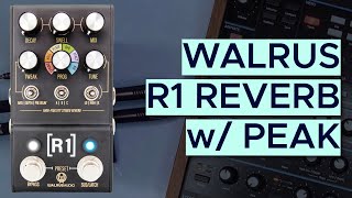 Walrus Audio R1 Reverb Sound Demo (no talking) with Novation Peak