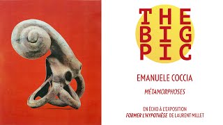 [THE BIG PICTURE] Métamorphoses, Emanuele Coccia