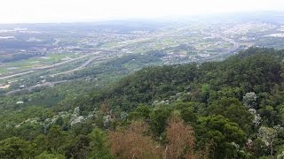 苗栗銅鑼雙峰山慈惠堂-登高望遠賞桐花好棒棒