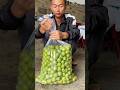 This is how fruits are preserved in China. #shortsvideo #facts