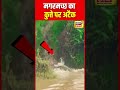 kota में नदी किनारे मगरमच्छ का स्ट्रीट डॉग पर अटैक का वीडियो आया सामने rajasthan n18s