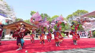 倭奏　第二回よさこいご縁まつり　2024年4月14日　出雲大社相模分祠