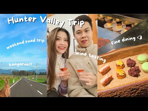Our Hunter Valley Trip wine tasting, fine dining, kangaroos, mini fireplace in our hotel