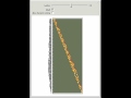 Collatz Problem as a Cellular Automaton