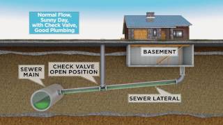 MSD: Sewer Surcharge with Backflow Device (Good Plumbing)