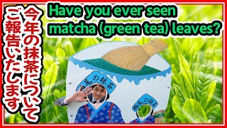 [Nishio Matcha] What was the result of 2021?