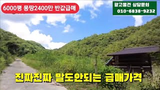 경매직전 6000평 완벽한땅 너무급해          몽땅2400만 급매매 가격절충 가능