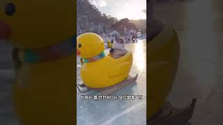 오리썰매 타러가실부운🐥🛷😝#아이랑가볼만한곳 #shorts #shortsvideo ❄️❄️