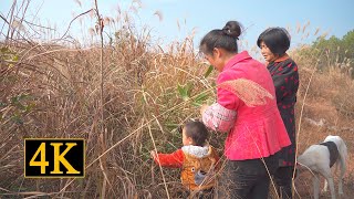 这种叶子貌不惊人，可是用它做成蘸酱味道惊人|Making dipping sauce with leaves【乡野莲姐】@4K